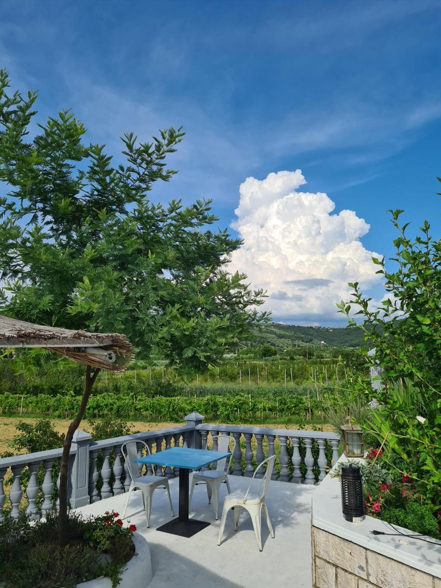 Bed and Breakfast Sol e Sečovlje Exterior foto